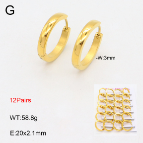 2E2005648amaa-387  Stainless Steel Earrings