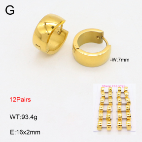 2E2005650alka-387  Stainless Steel Earrings