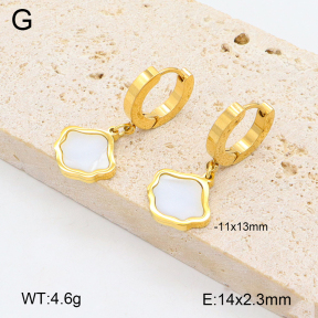 2E3003285abol-743  Stainless Steel Earrings