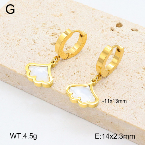 2E3003286abol-743  Stainless Steel Earrings