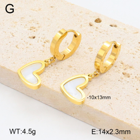 2E3003287abol-743  Stainless Steel Earrings