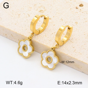 2E3003288bvpl-743  Stainless Steel Earrings