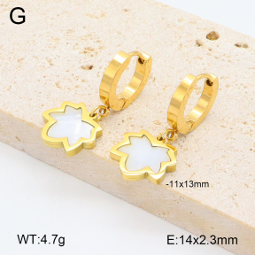 2E3003289abol-743  Stainless Steel Earrings