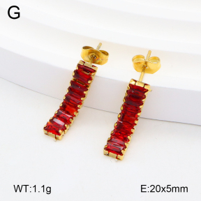 2E4004230vbmb-743  Stainless Steel Earrings