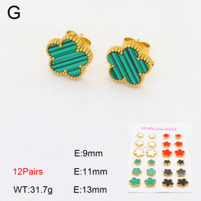 2E4004232vhov-743  Stainless Steel Earrings
