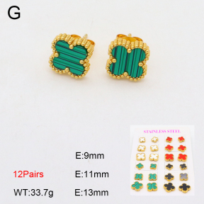 2E4004233vhov-743  Stainless Steel Earrings