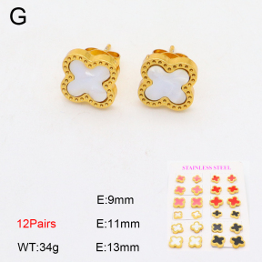 2E4004234vhov-743  Stainless Steel Earrings