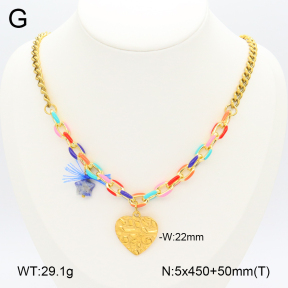 2N3002428aivb-656  Stainless Steel Necklace