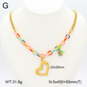 2N3002429aivb-656  Stainless Steel Necklace