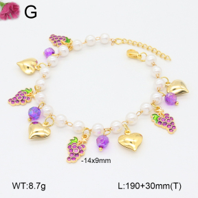 F2B301101bbov-J39  Fashion Bracelet