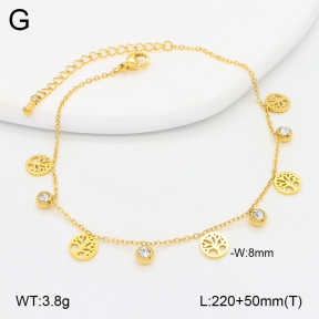 2A9001623bhva-669  Stainless Steel Anklets