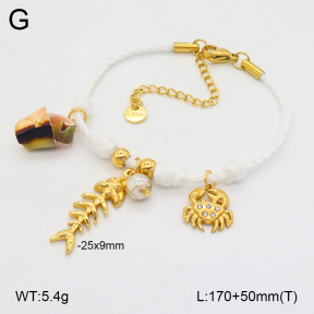 2B3003779vhhl-669  Stainless Steel Bracelet