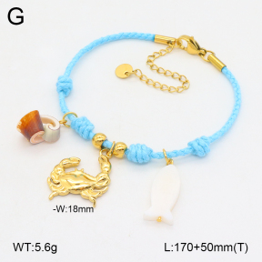 2B3003781vhhl-669  Stainless Steel Bracelet