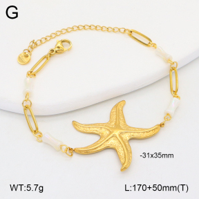 2B4004585bhva-669  Stainless Steel Bracelet