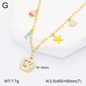 2N3002437vhhl-669  Stainless Steel Necklace