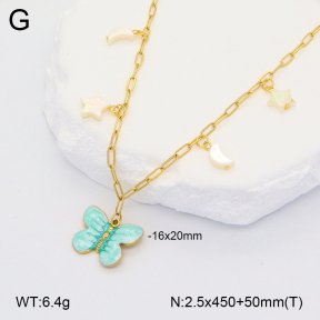 2N3002443bhbl-669  Stainless Steel Necklace