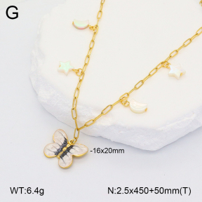 2N3002444bhbl-669  Stainless Steel Necklace