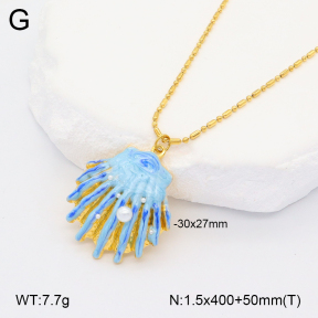 2N3002447bhva-669  Stainless Steel Necklace