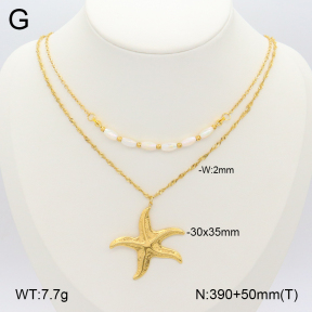 2N3002452bhia-669  Stainless Steel Necklace