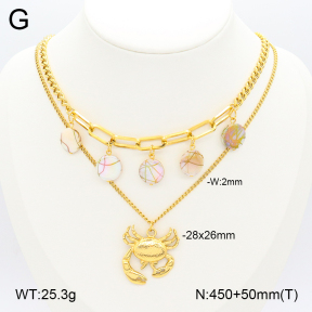 2N3002453ahjb-669  Stainless Steel Necklace