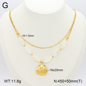 2N3002454vhhl-669  Stainless Steel Necklace