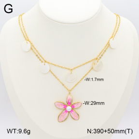 2N3002455bhia-669  Stainless Steel Necklace