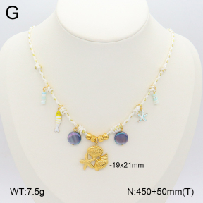 2N3002459ahjb-669  Stainless Steel Necklace