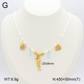 2N3002460bhil-669  Stainless Steel Necklace