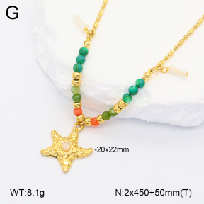 2N4003879bhia-669  Stainless Steel Necklace