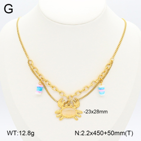 2N4003883bhia-669  Stainless Steel Necklace