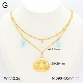 2N4003885bhia-669  Stainless Steel Necklace