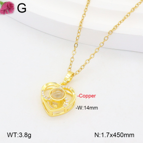 F2N401188aakl-J72  Fashion Copper Necklace