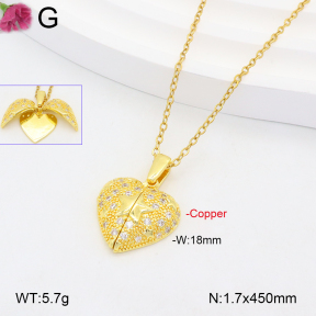 F2N401190aako-J72  Fashion Copper Necklace