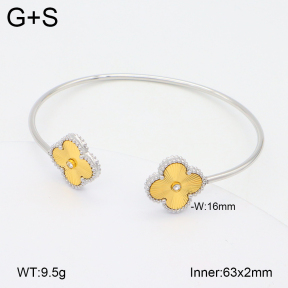 2BA402103vhha-669  Stainless Steel Bangle