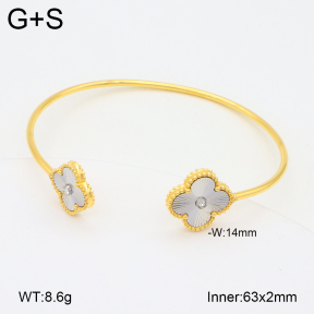 2BA402105vhha-669  Stainless Steel Bangle