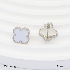 2E3003290ablb-669  Stainless Steel Earrings