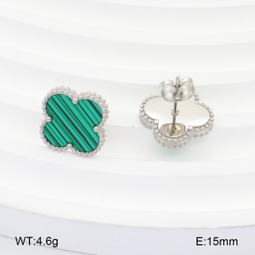 2E4004235ablb-669  Stainless Steel Earrings
