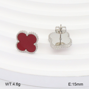 2E4004236ablb-669  Stainless Steel Earrings