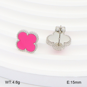 2E4004239ablb-669  Stainless Steel Earrings