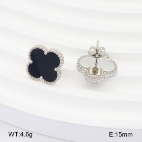 2E4004240ablb-669  Stainless Steel Earrings