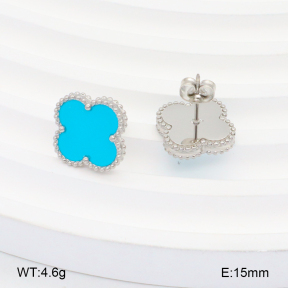 2E4004241ablb-669  Stainless Steel Earrings
