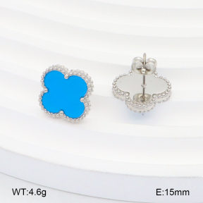 2E4004242ablb-669  Stainless Steel Earrings