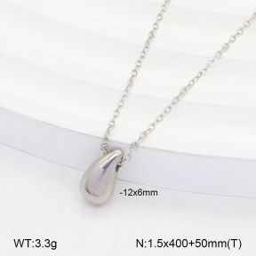 2N2005496avja-749  Stainless Steel Necklace