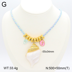 2N3002480vhnv-669  Stainless Steel Necklace