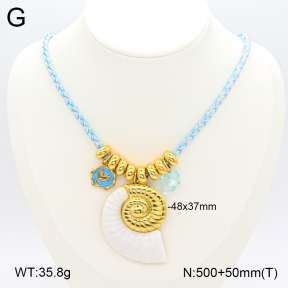 2N3002481vhnv-669  Stainless Steel Necklace