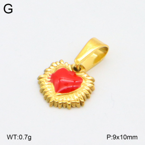2P3000611vail-355  Stainless Steel Pendant