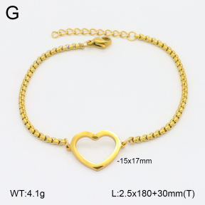 2B2003843avja-413  Stainless Steel Bracelet