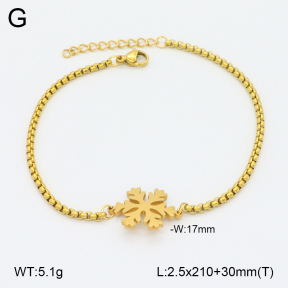 2B2003845avja-413  Stainless Steel Bracelet