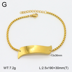 2B2003850avja-413  Stainless Steel Bracelet