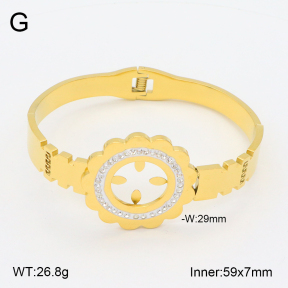 2BA402108bvpl-478  Stainless Steel Bangle